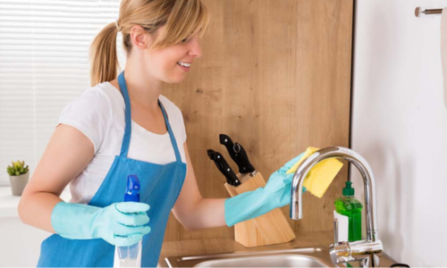 Maid and cook services